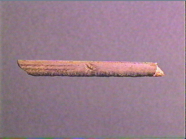 Sagaie_1