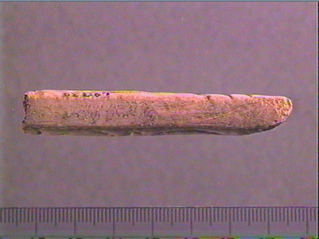 Sagaie_5