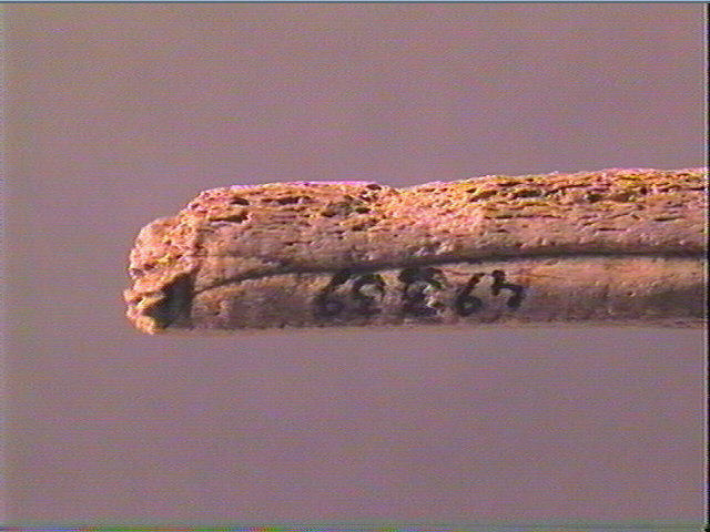Sagaie_2
