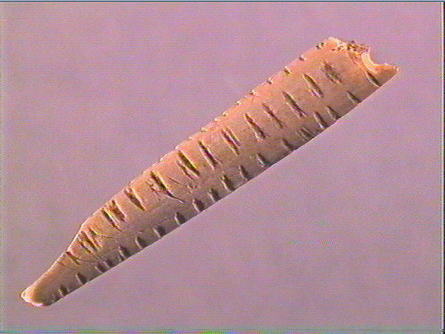 Pendeloque_1
