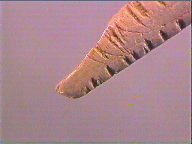 Pendeloque_2