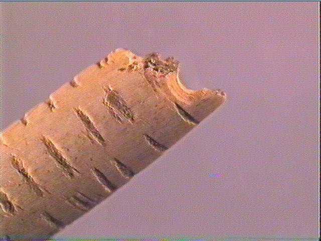 Pendeloque_5