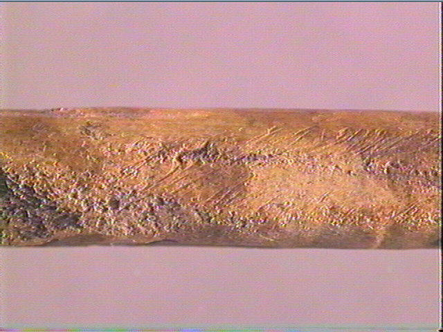 Sagaie_3