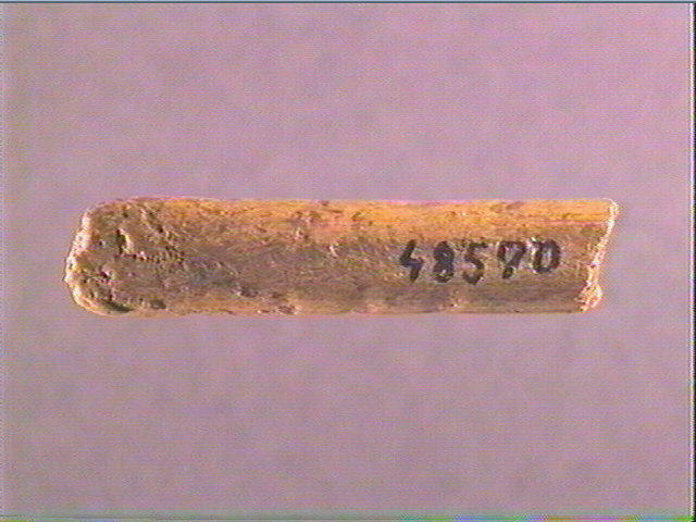 Sagaie_1