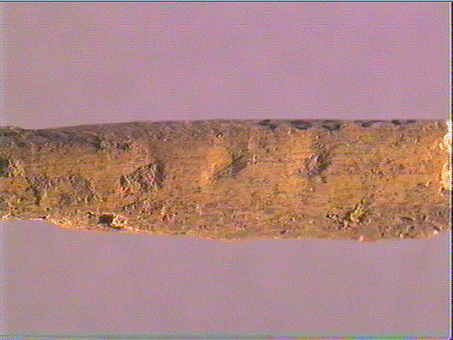 Sagaie_3