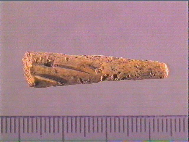 Pointe de sagaie_0