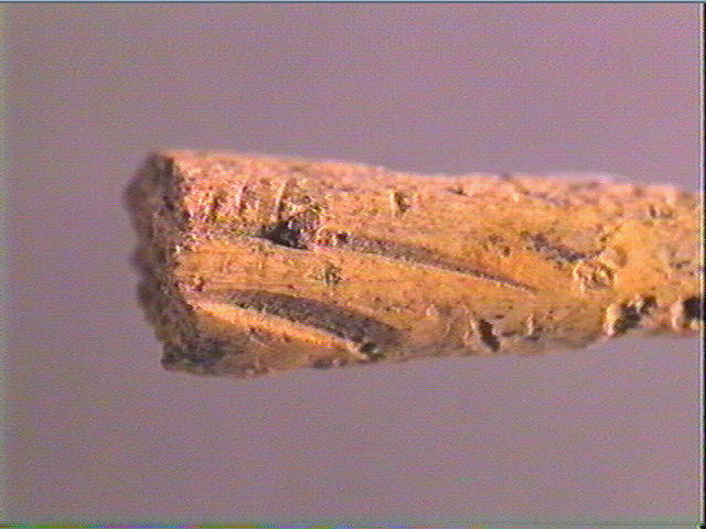 Pointe de sagaie_1