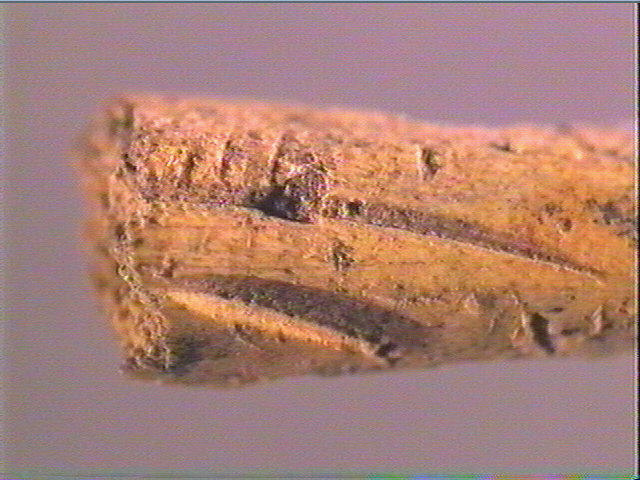 Pointe de sagaie_2