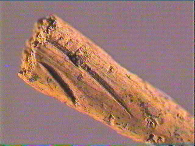 Pointe de sagaie_3