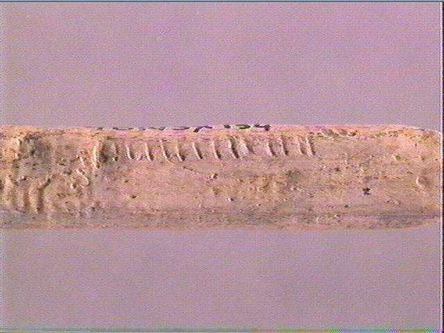 Sagaie_6