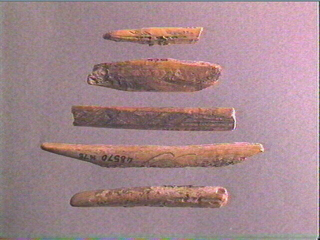 Sagaie (à biseau double)_0