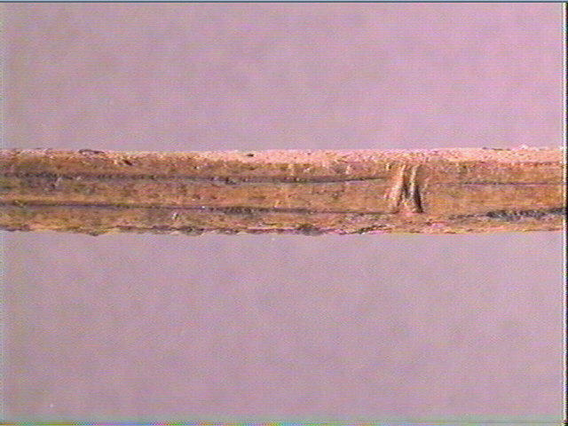 Sagaie_3