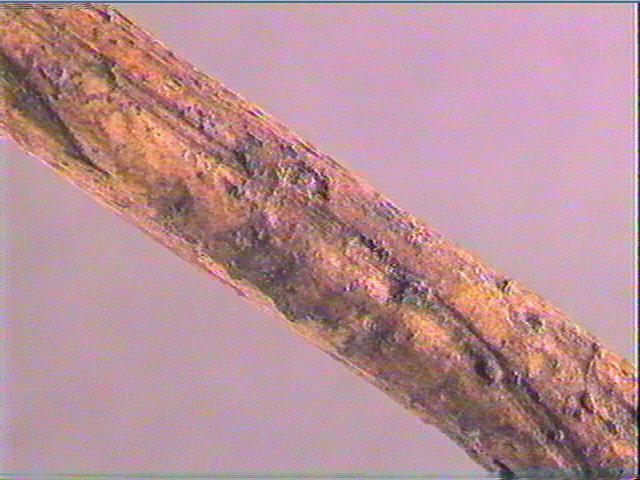 Sagaie_4