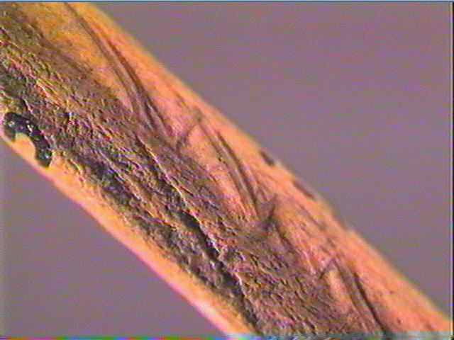Sagaie_3
