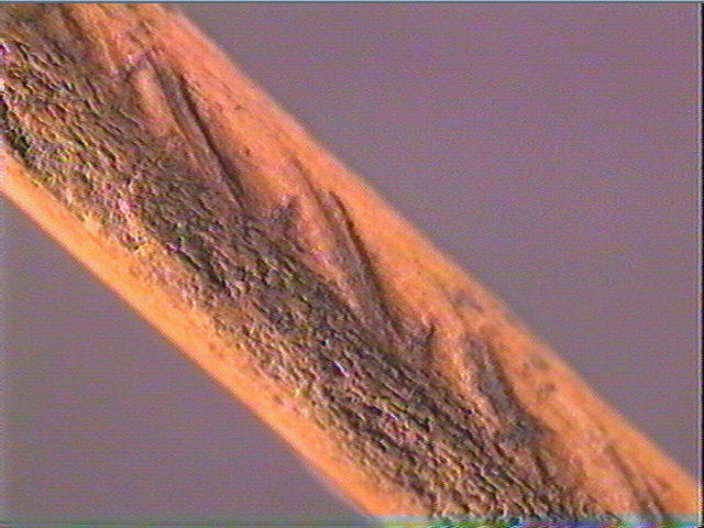 Sagaie_4