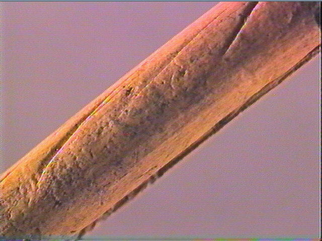 Sagaie_4