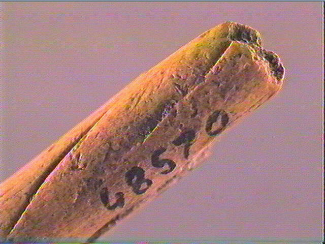 Sagaie_5