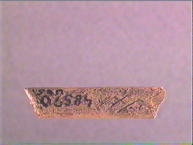 Sagaie_0