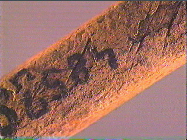 Sagaie_5