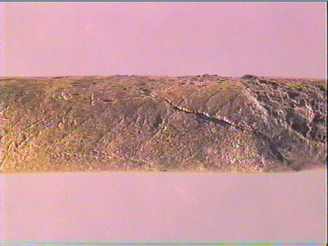Sagaie_5