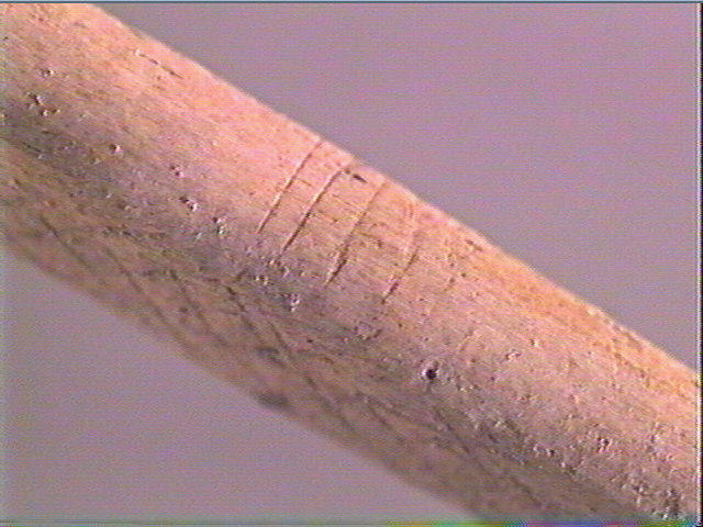 Sagaie_5
