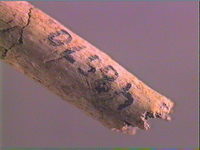 Sagaie_5