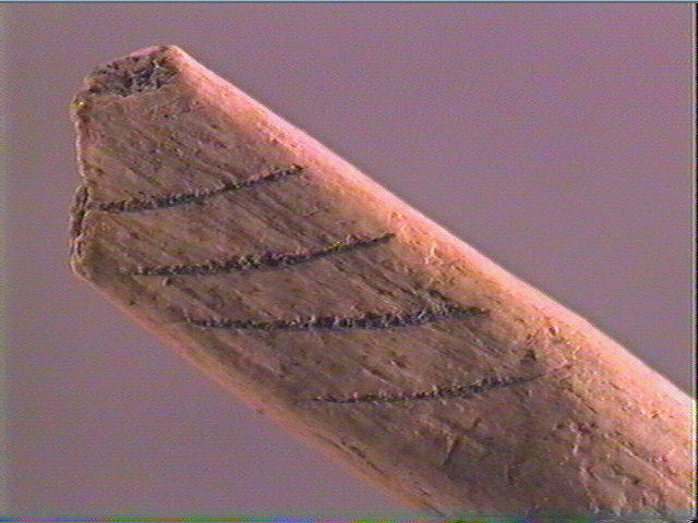 Sagaie_6