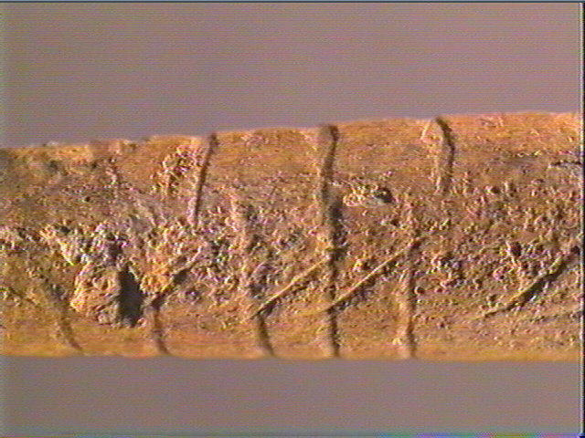 Ciseau_5