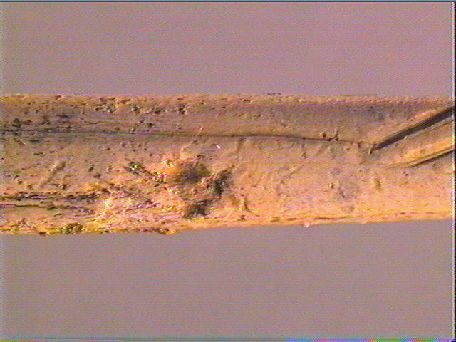 Ciseau_4