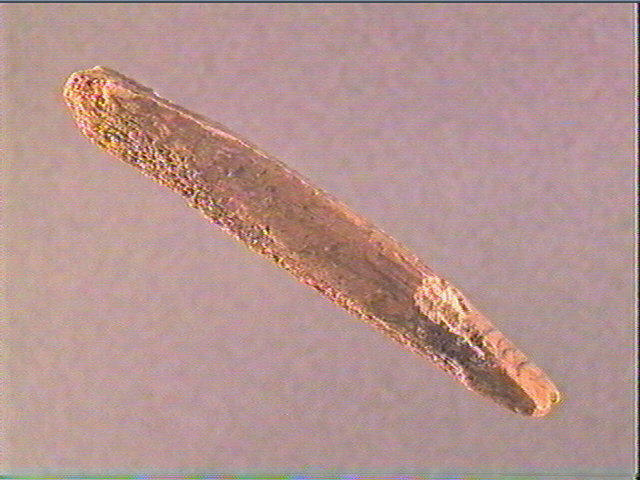 Ciseau (à biseau double)_1