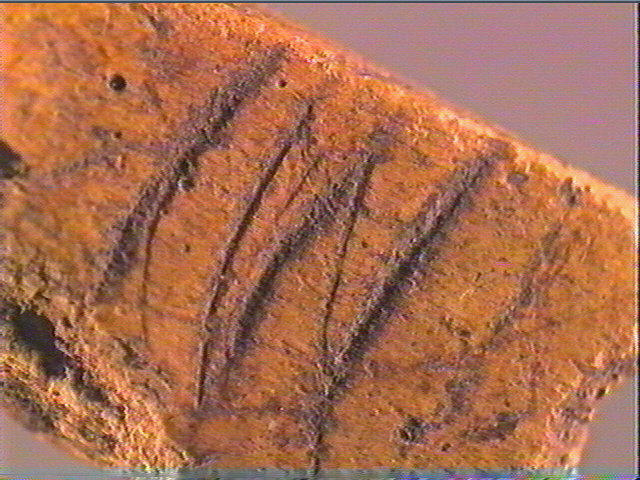 Ciseau (à biseau double)_6