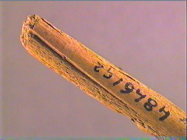 Ciseau_3