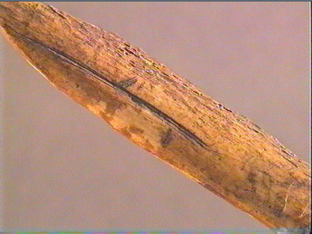 Ciseau (à biseau double)_3