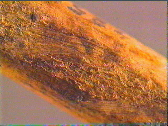 Ciseau (à biseau double)_4