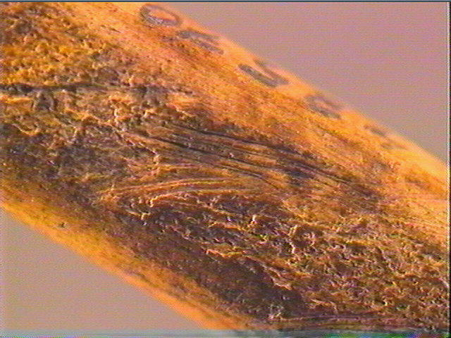 Ciseau (à biseau double)_5