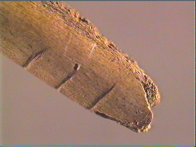 Ciseau_4