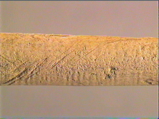 Ciseau_5