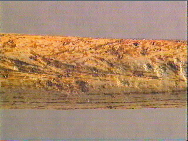 Sagaie_2
