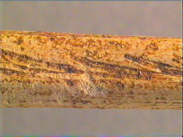 Sagaie_3