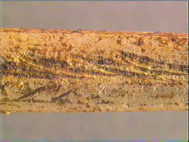Sagaie_4
