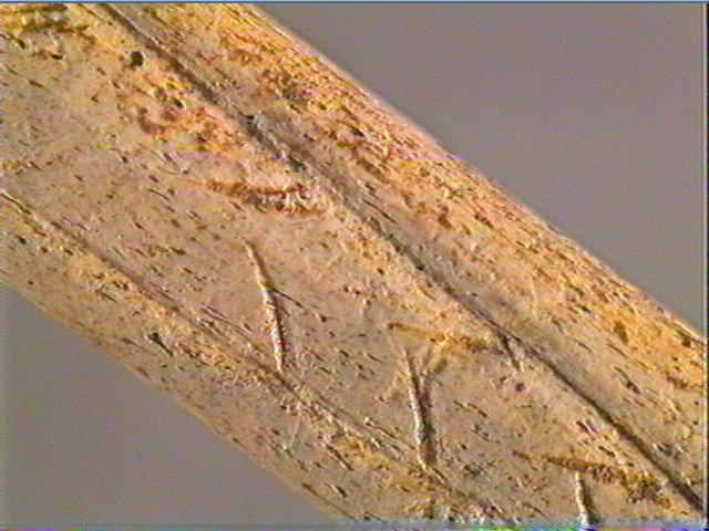 Baguette_2