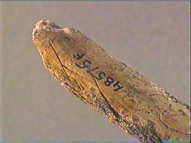 Ciseau_4