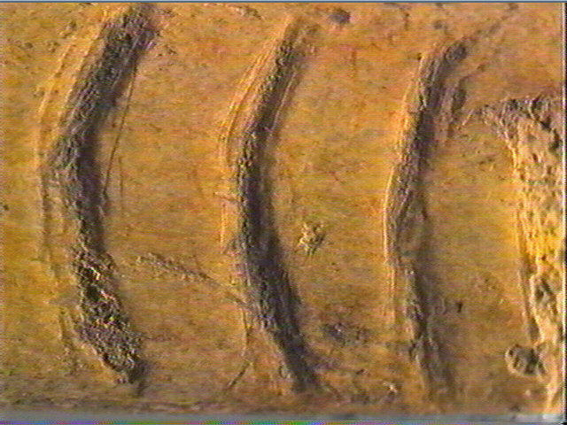 Ciseau_5