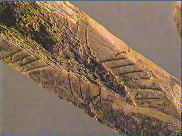 Ciseau_5
