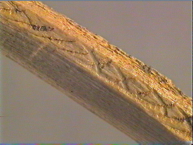 Pointe_6