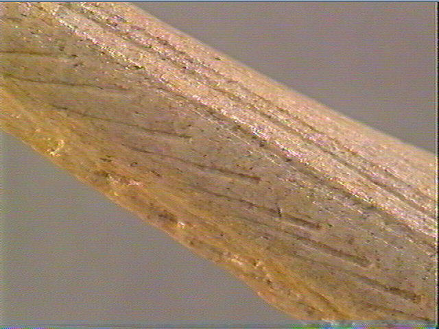 Pointe_5
