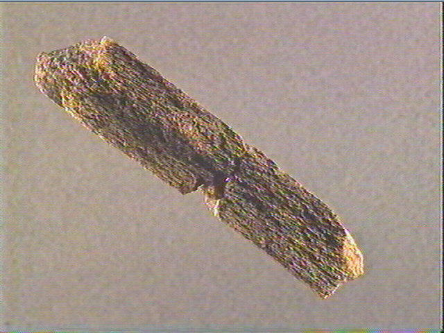 Baguette demi-ronde_1