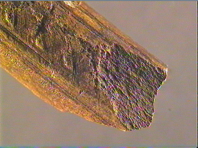 Baguette demi-ronde_2