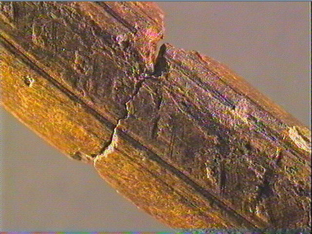 Baguette demi-ronde_3