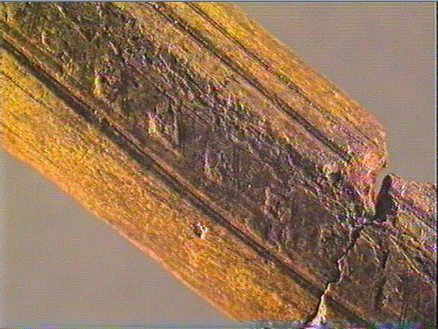 Baguette demi-ronde_4